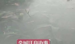 河池市网友爆料案件最新,最新案件细节曝光，真相令人震惊！