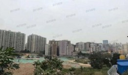 深圳房产最新爆料,揭秘最新爆料与市场趋势