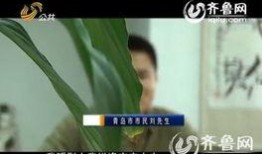 重庆刘先生最新爆料,揭秘某事件背后惊人真相