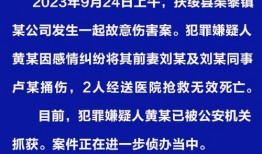 扶绥县最新爆料案件信息,神秘案情引发社会关注