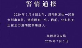 陕西凤翔爆料案件最新,案情最新进展及社会关注焦点”