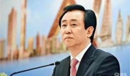 秦锋爆料价格最新消息,价格动态揭秘，市场走势一览无余